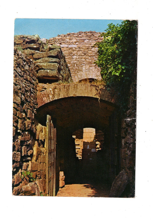 Ansichtskarte Vetulonia Scavi / Italien / N1-63