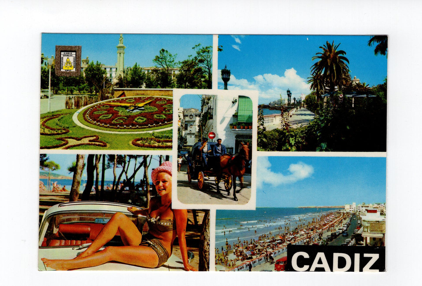 Ansichtskarte Cadiz / Spanien