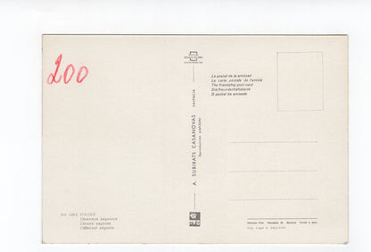 Ansichtskarte Cadiz / Spanien