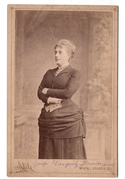 Fotografie Feine Dame - Wien um 1880 / CAB W-20