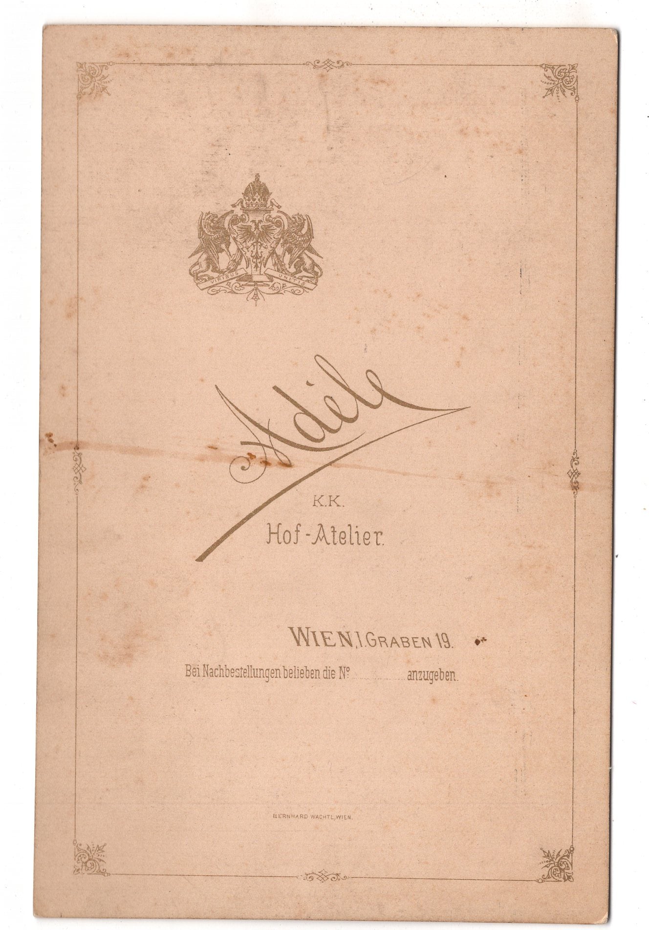 Fotografie Feine Dame - Wien um 1880 / CAB W-20