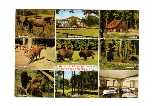 Ansichtskarte Gasthof & Pension Zur Egge / Haus Varlemann / Scherfede-Hardehausen