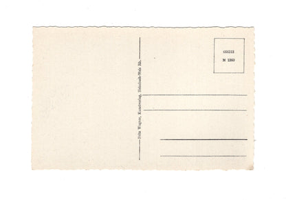 Ansichtskarte Koblenz am Rhein / Der Rhein in Flammen