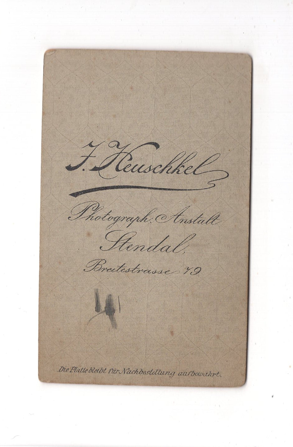 Fotografie Damenportrait - Stendal 1880er / CDV C1-01
