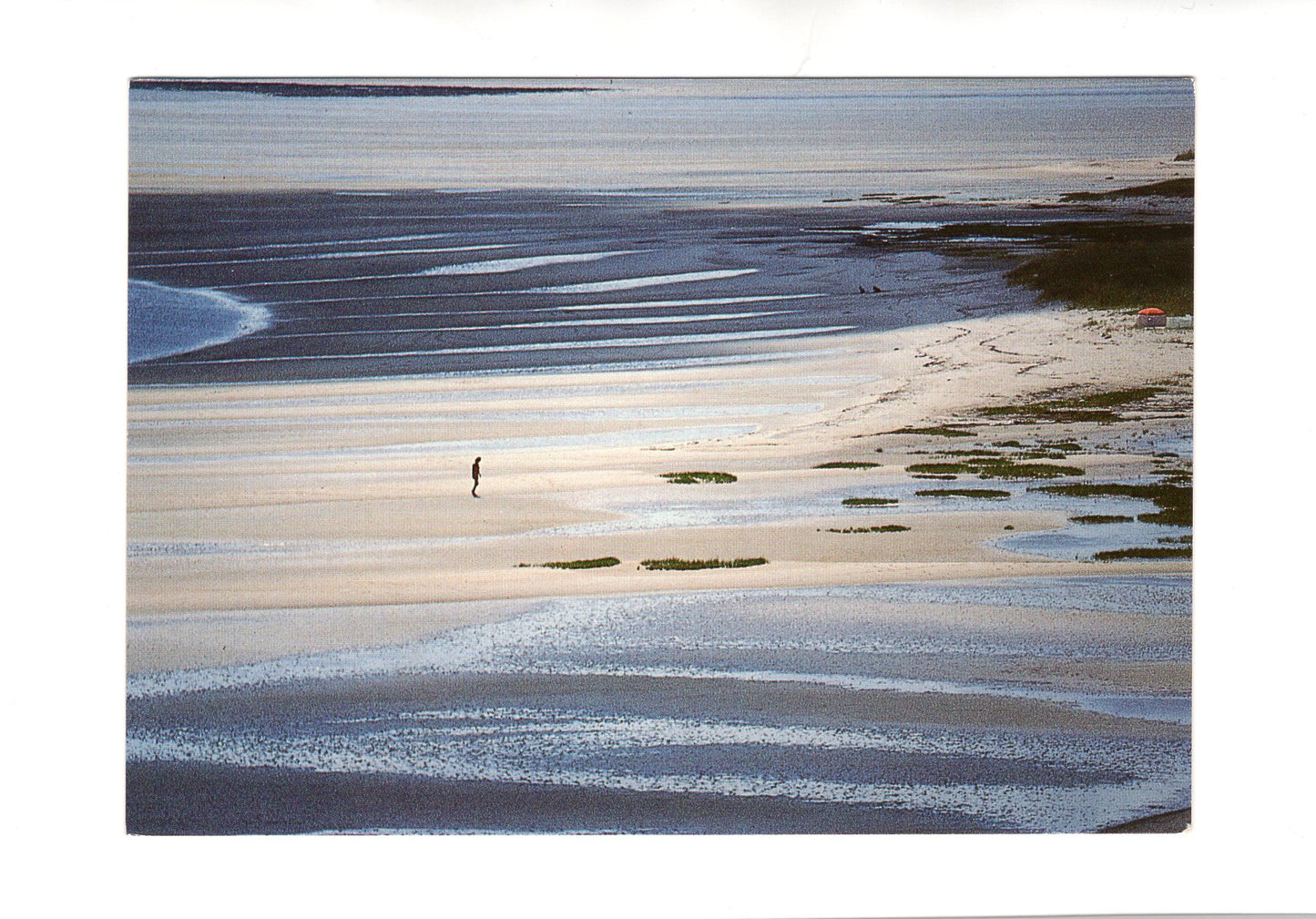 Ansichtskarte Insel Sylt / Am Wattenmeer
