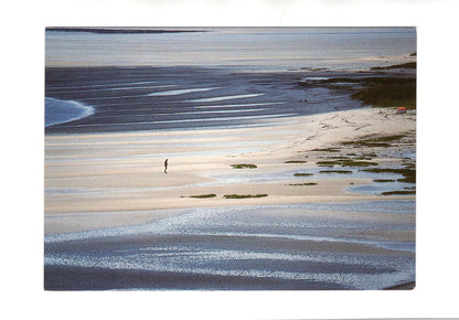 Ansichtskarte Insel Sylt / Am Wattenmeer
