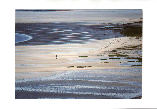 Ansichtskarte Insel Sylt / Am Wattenmeer