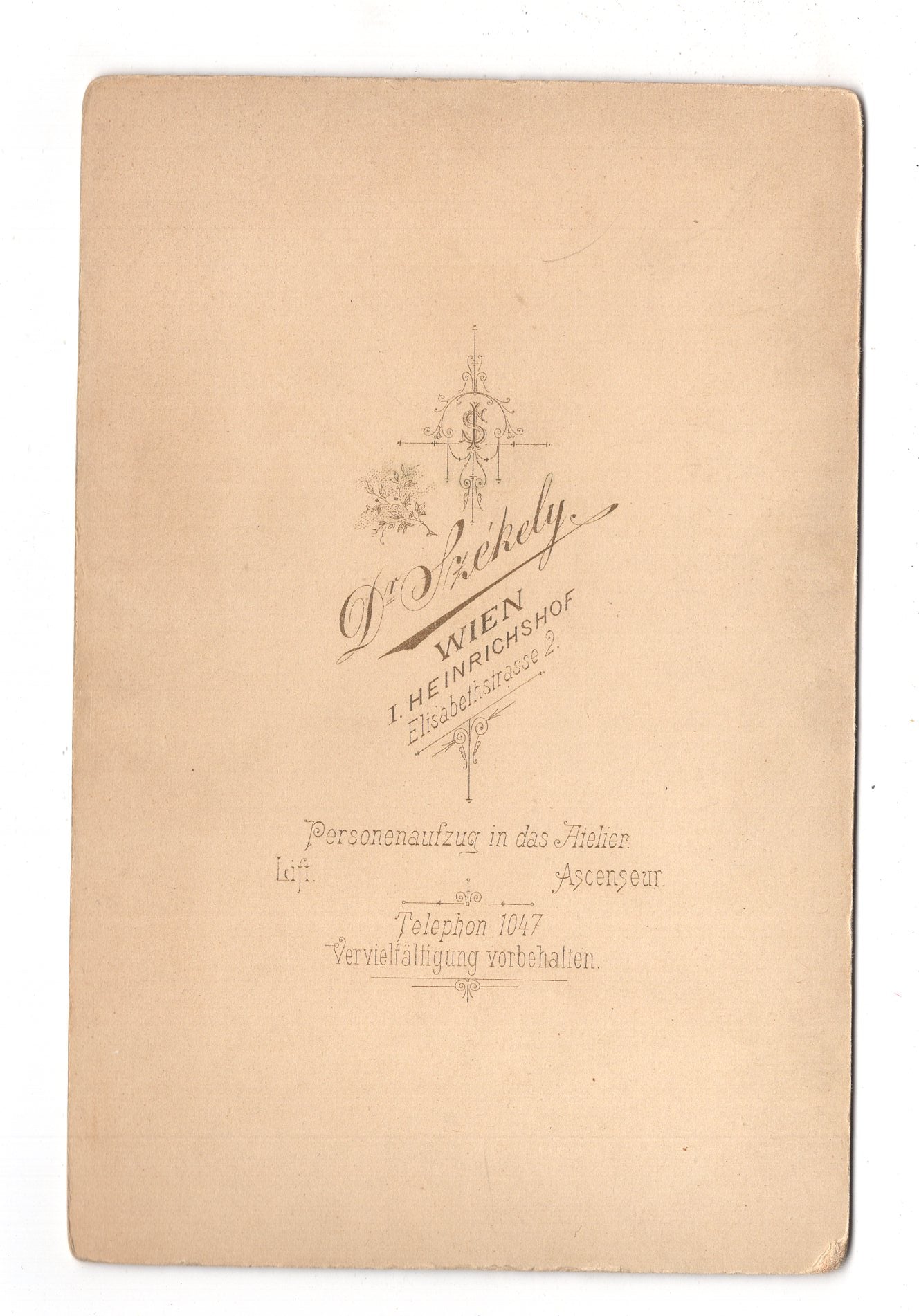 Fotografie Feine Dame - Wien 1900 / CAB W-20