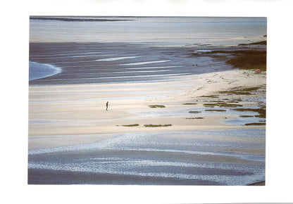 Ansichtskarte Insel Sylt / Am Wattenmeer
