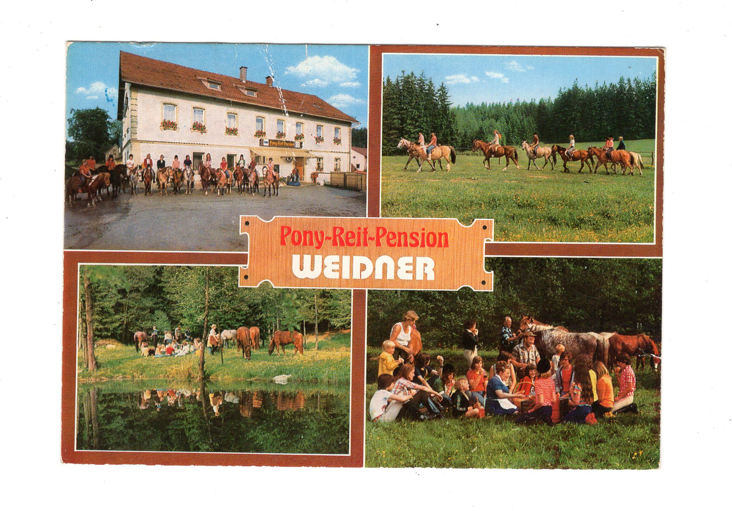 Ansichtskarte Pony-Reit-Pension Weidner / Steinbach bei Marktleugast