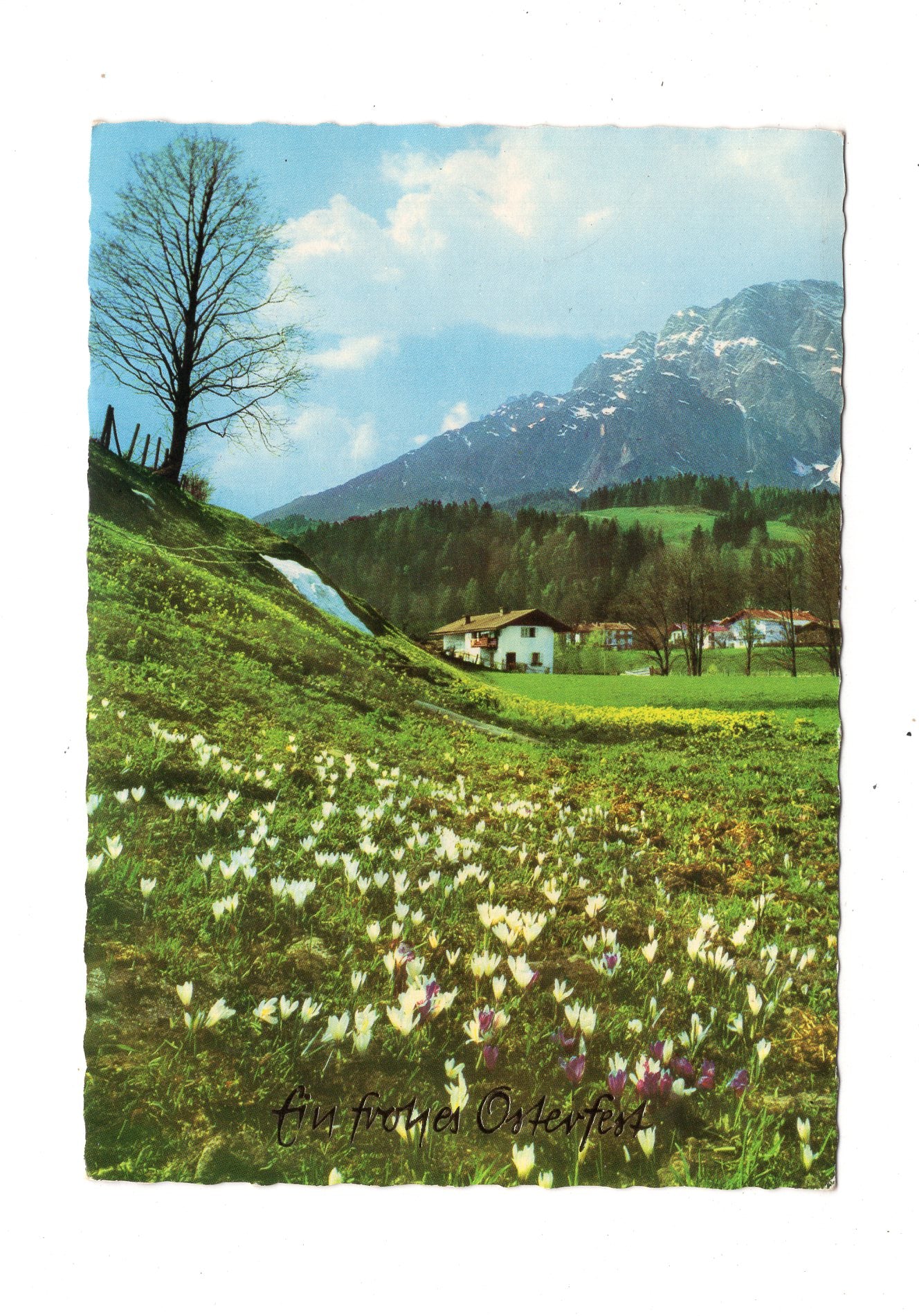 Ansichtskarte Feiertage / Frohe Ostern / L1-55