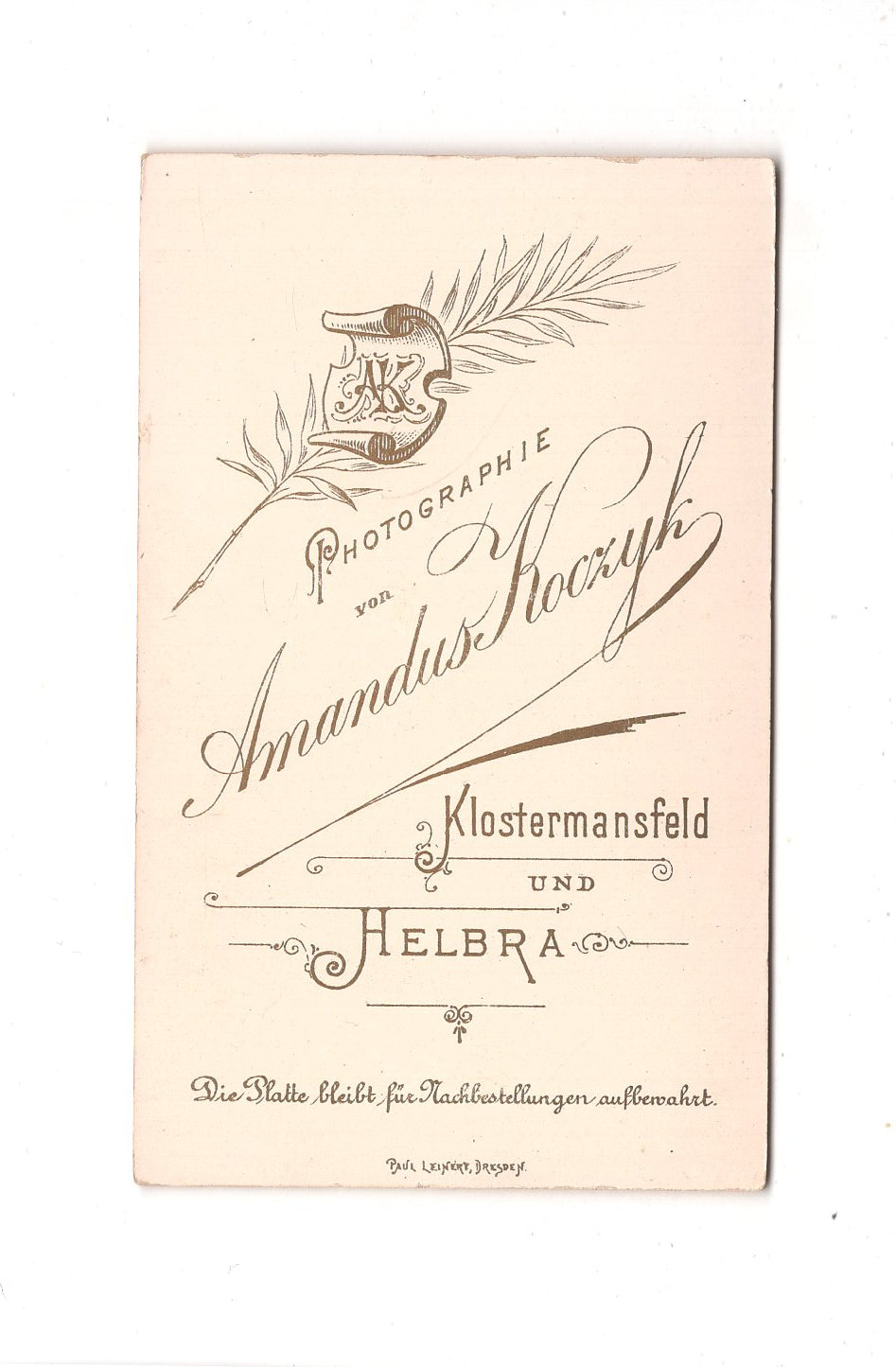 Fotografie Damenportrait - Klostermansfeld & Helbra 1890er / CDV C1-01