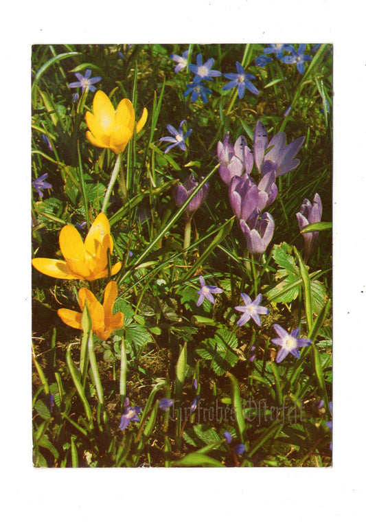 Ansichtskarte Feiertage / Frohe Ostern / L1-55