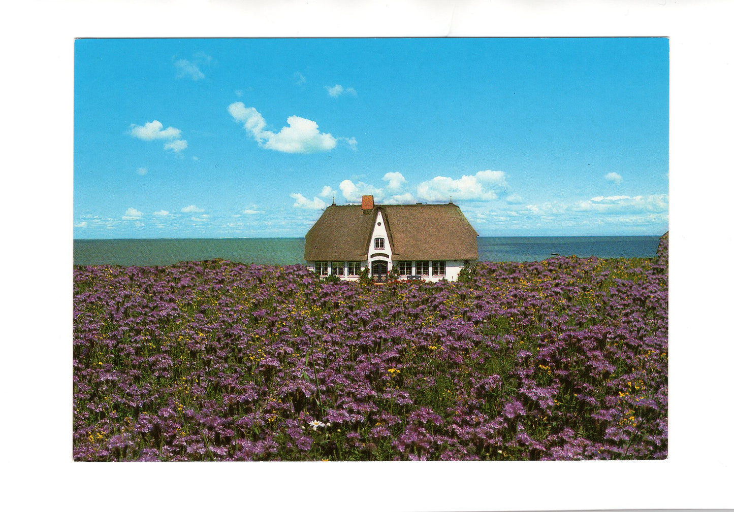 Ansichtskarte Insel Sylt