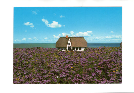 Ansichtskarte Insel Sylt