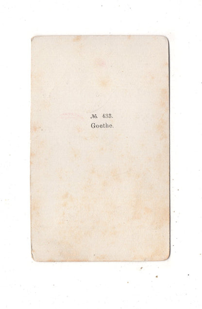 Fotografie Kunst / Johann Wolfgang von Goethe - 1870er