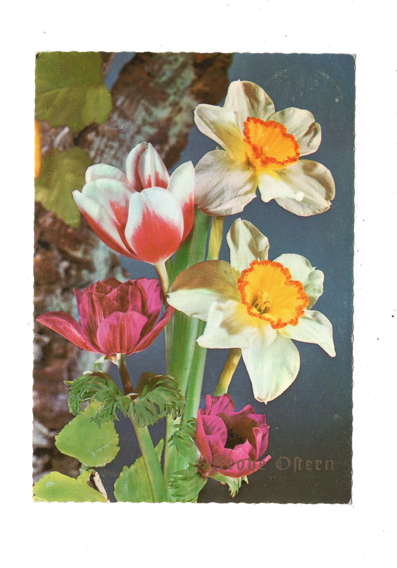 Ansichtskarte Feiertage / Frohe Ostern / L1-55