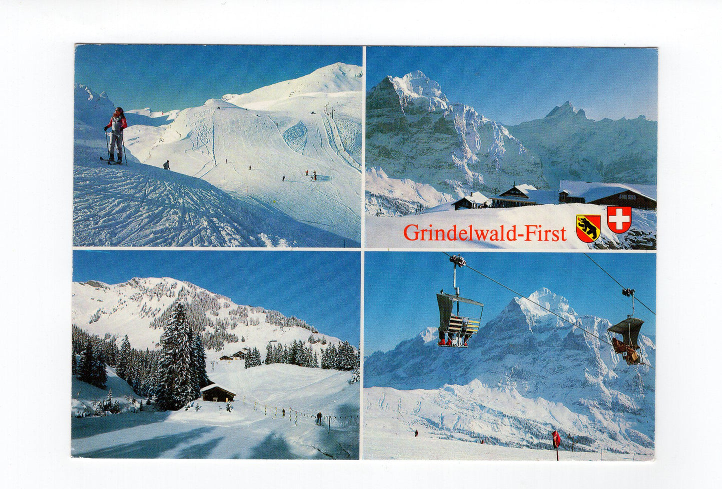 Ansichtskarte Grindelwald-First / Schweiz
