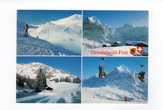Ansichtskarte Grindelwald-First / Schweiz
