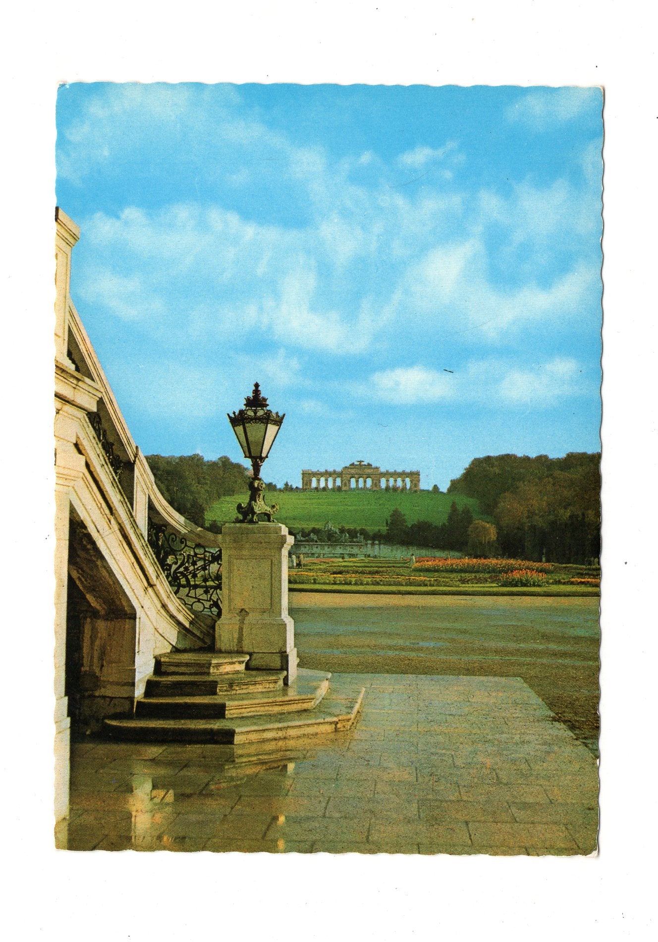 Ansichtskarte Wien / Schloss Schönbrunn / Blumenparterre  & Gloriette / Österreich