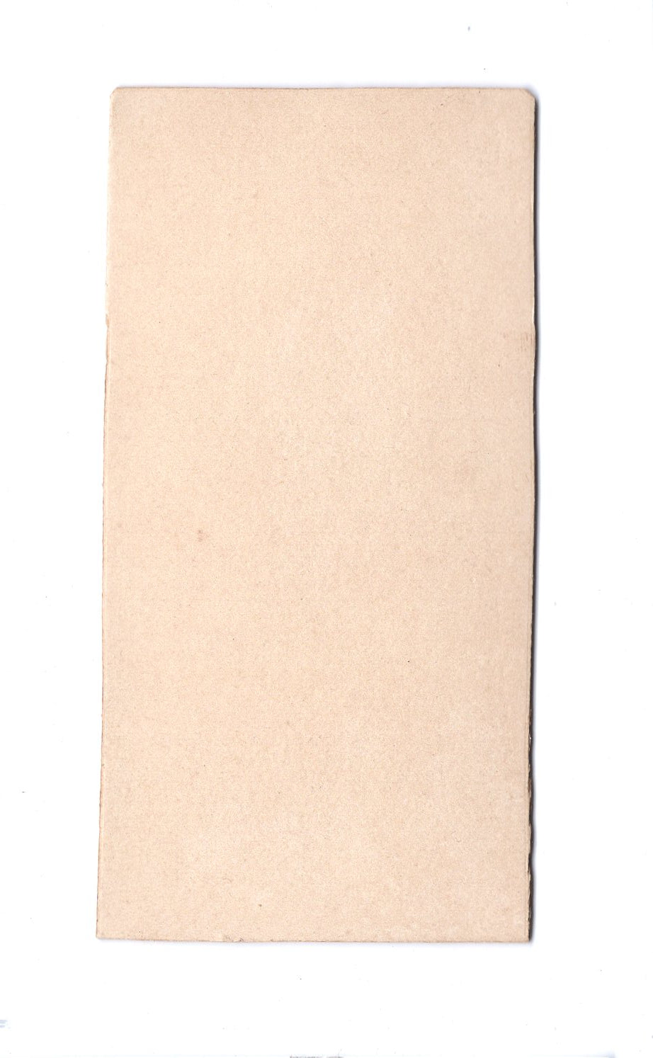 Fotografie Feine Dame - unbekannter Ort um 1910