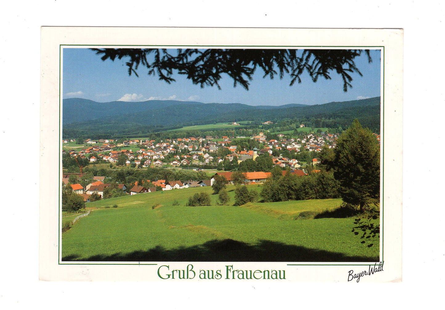 Ansichtskarte Frauenau / Bayerischer Wald
