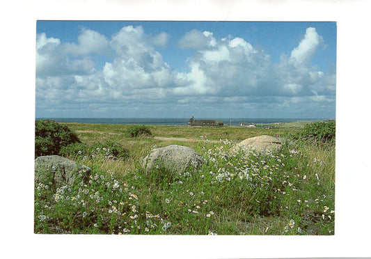 Ansichtskarte Insel Sylt / Nordseebad Kampen