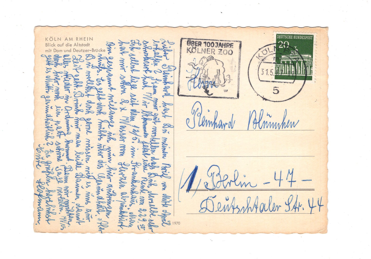 Ansichtskarte Köln am Rhein / Blick auf die Altstadt mit Dom +++ / G1-57