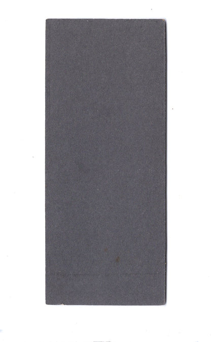 Fotografie Feiner Herr / Jäger mit Gewehr und Hund - Blankenburg / Harz 1900er