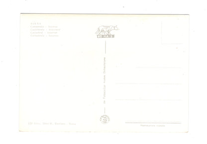 Ansichtskarte Siena / Cattedrale / Italien