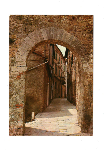 Ansichtskarte Chiusdino (Siena) / Porta Medicea / Italien