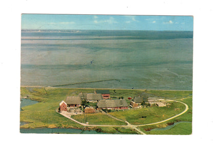 Ansichtskarte Hallig Langeness / Maienswarft