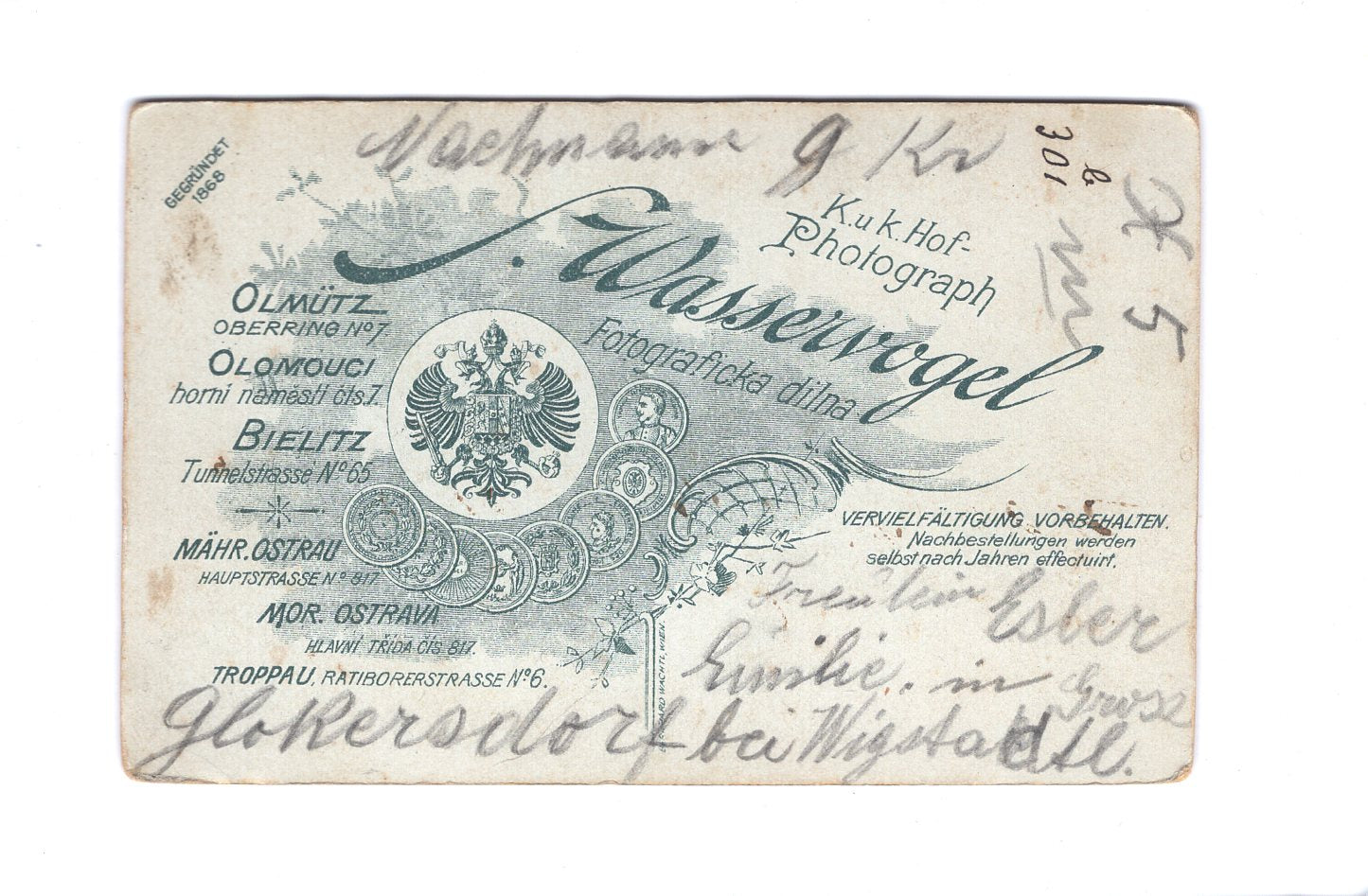 Fotografie Damenportrait / benannt - Olmütz / Bielitz 1890er