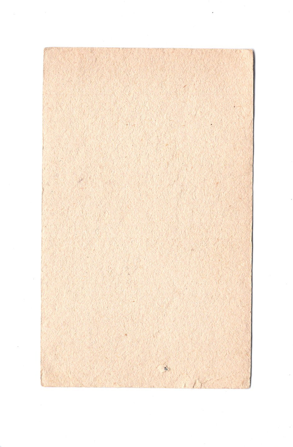 Fotografie Damenportrait - Wien 1900er