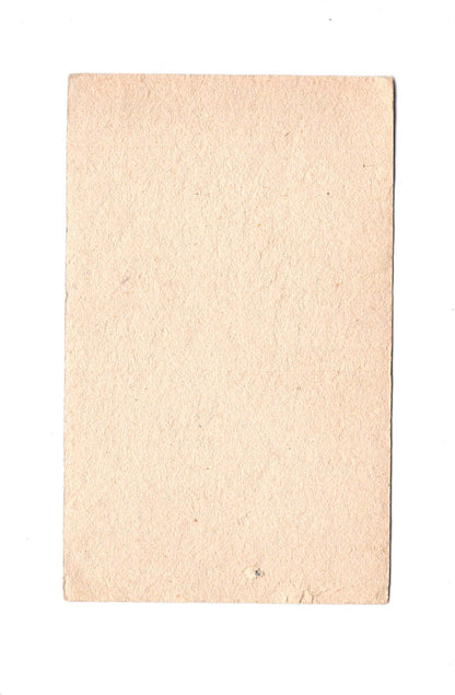 Fotografie Damenportrait - Wien 1900er