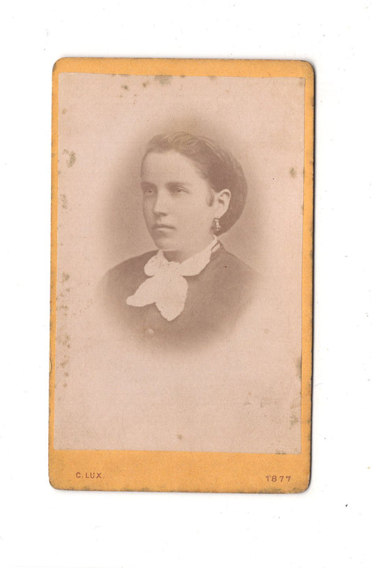 Fotografie Damenportrait - Zwettl 1877 / CDV C1-02