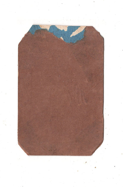 Fotografie Feine Dame - unbekannter Ort 1870er