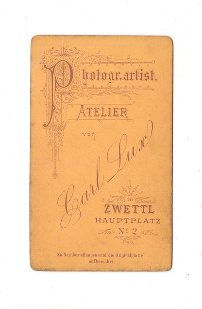 Fotografie Damenportrait - Zwettl 1877 / CDV C1-02