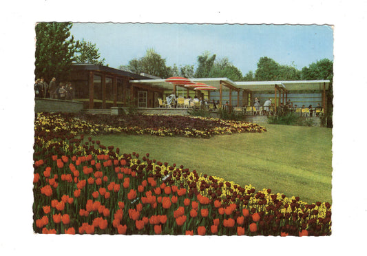 Ansichtskarte Bundesgartenschau Dortmund 1959 / Milchklause am Lotosteich