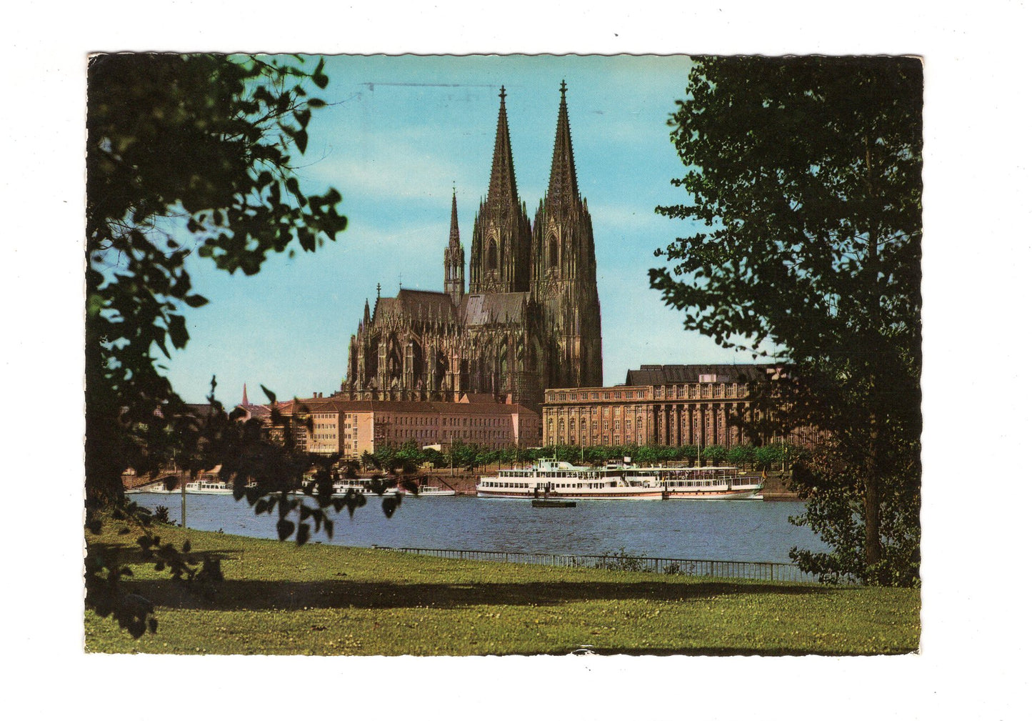 Ansichtskarte Köln am Rhein / Blick zum Dom vom Rheinpark / G1-57