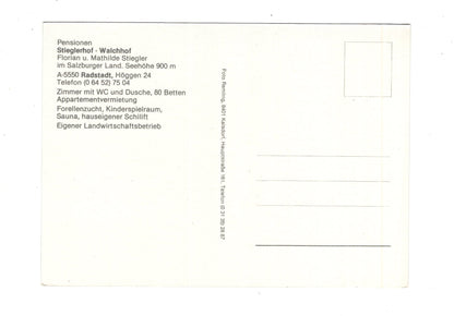 Ansichtskarte Radstadt / Pongau / Salzburger Land / Österreich