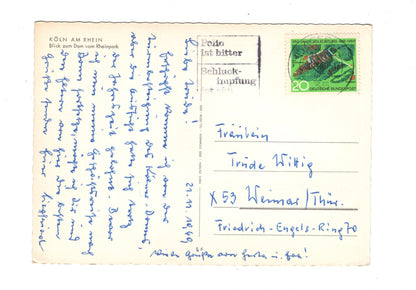 Ansichtskarte Köln am Rhein / Blick zum Dom vom Rheinpark / G1-57