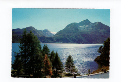 Ansichtskarte Blick über den Silsersee auf Isola und Piz della Margna / Schweiz