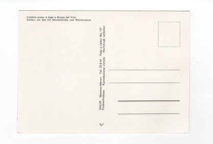 Ansichtskarte Kaltern am See / Südtirol / Italien