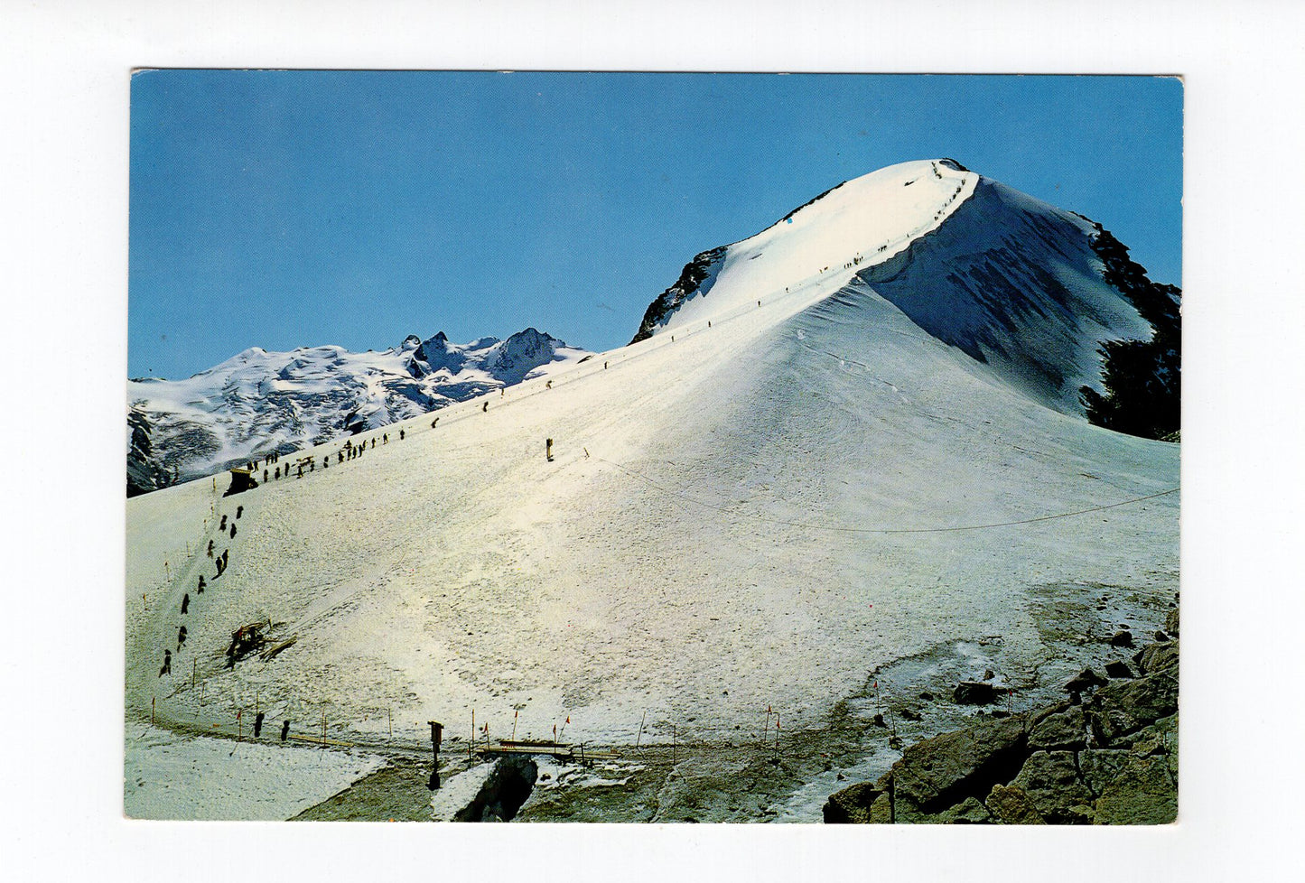 Ansichtskarte Der Piz Corvatsch mit Sellagruppe / Schweiz