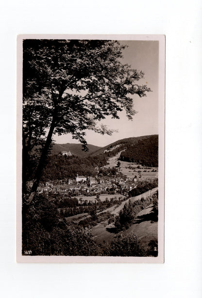 Ansichtskarte Leutenberg / Thüringen