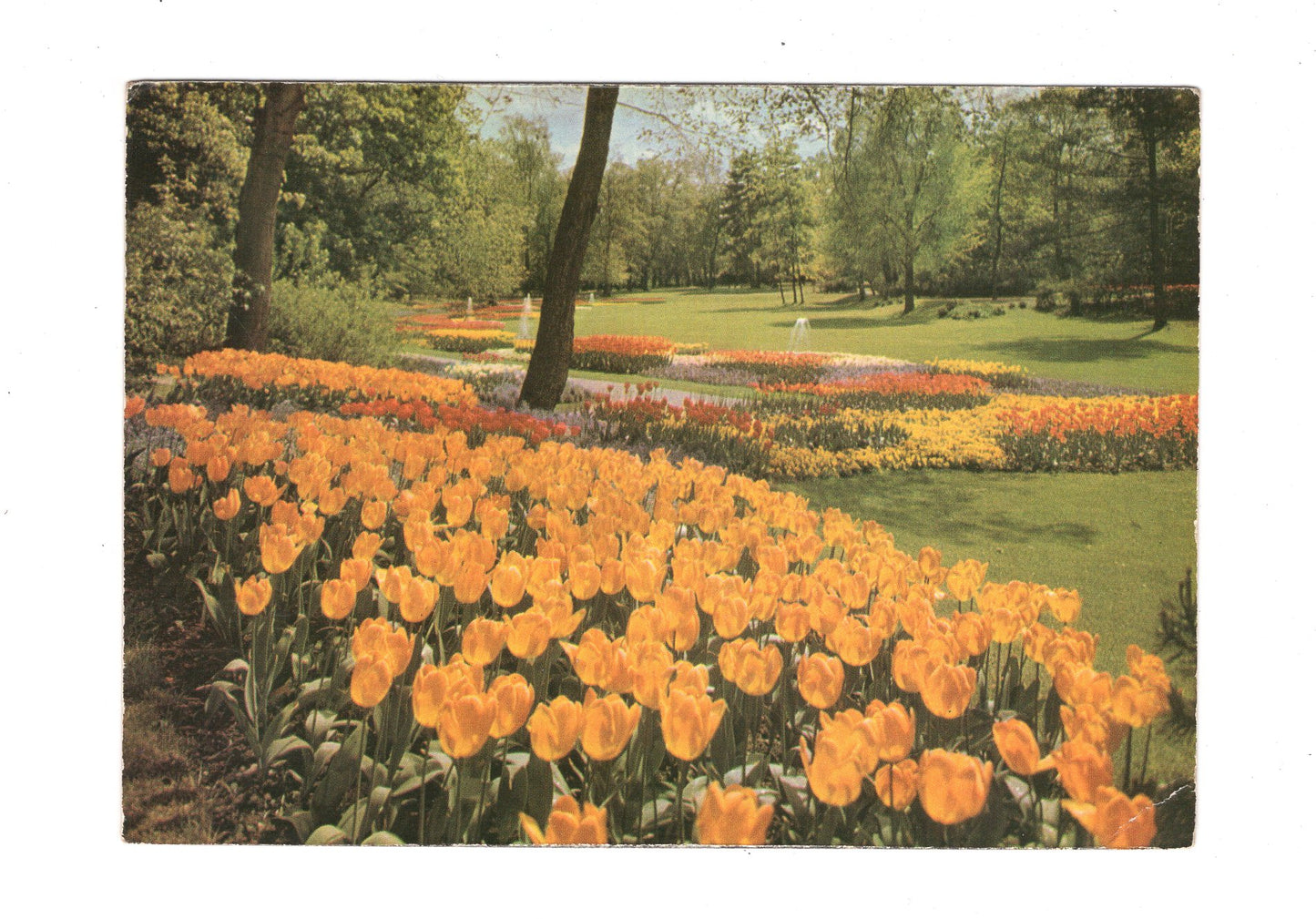 Ansichtskarte Landau in der Pfalz / Goethepark