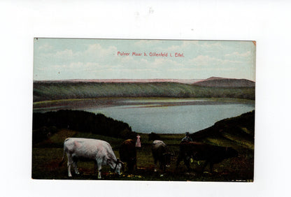 Ansichtskarte Pulver Maar bei Gillenfeld in der Eifel