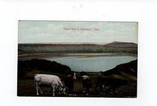 Ansichtskarte Pulver Maar bei Gillenfeld in der Eifel