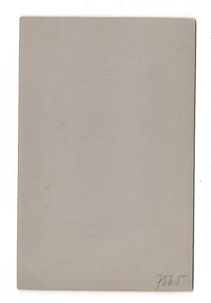 Fotografie Feine Dame - Osnabrück um 1910 / CAB W-21